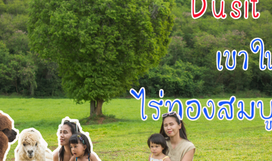 cover ทริปชิลๆ เที่ยวเขาใหญ่ ไร่ทองสมบูรณ์ พักฟินๆ ที่ Dusit D2 เขาใหญ่