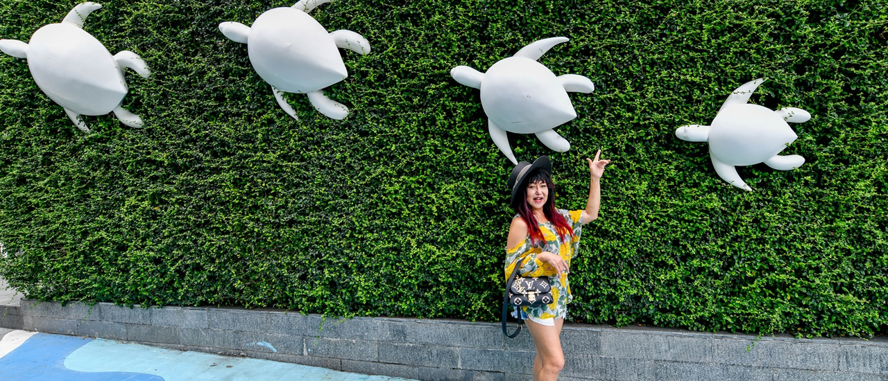 cover . รีวิว โรงแรม แนป ป่าตอง Nap Patong กับ แม่ประนอม จ้า