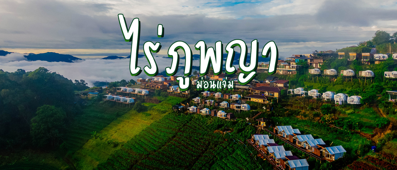 cover ไร่ภูพญา ม่อนแจ่ม ดินแดนม่านหมอกและดอกไม้