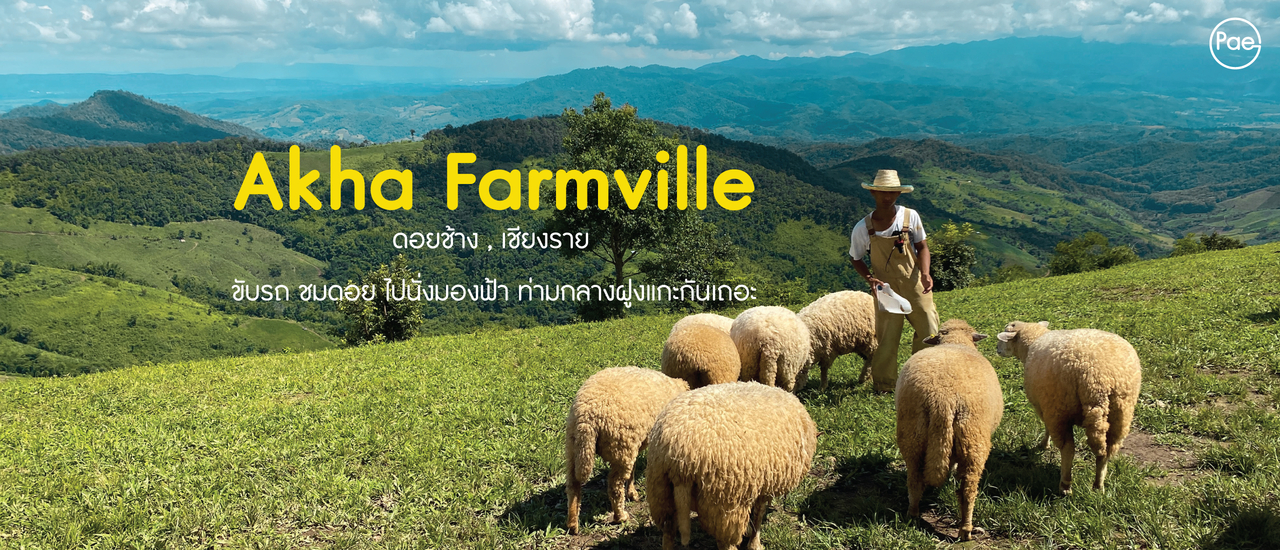 cover Akha Farmville ขับรถชมวิว ไปนั่งมองฟ้า จิบกาแฟ ท่ามกลางฝูงแกะที่ดอยช้าง