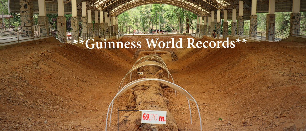 cover Unseen Thailand ทุบสถิติโลก ไม้กลายเป็นหินยาวที่สุดในโลก