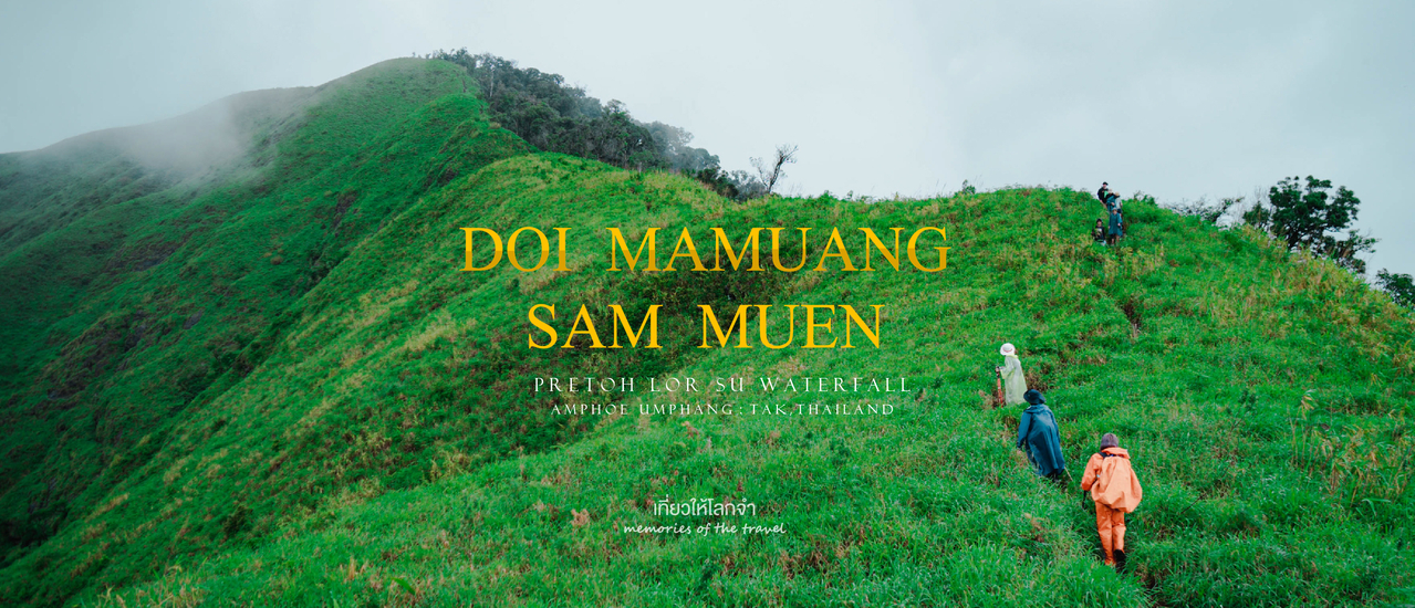 cover ดอยมะม่วงสามหมื่น (หลอกแฟนมาเดินป่าหน้าฝนเดือนกันยา)