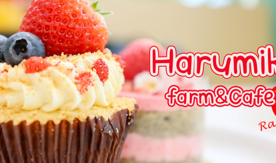 cover Harumiki Farm & Cafe