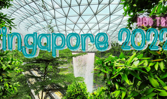 Cover # คะน้า Come back พาไปเดินถ่ายรูปเล่น ที่สิงคโปร์ #...