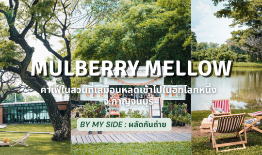 cover Mulberry Mellow | คาเฟ่ในสวนที่เสมือนหลุดเข้าไปในอีกโลกหนึ่ง จ.กาญจนบุรี