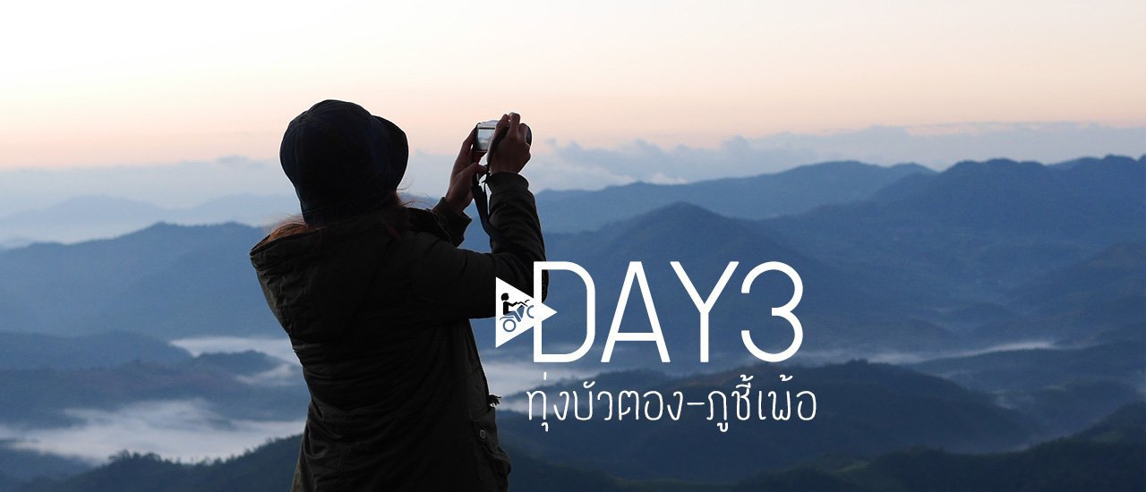 cover 7วัน วงกลมตามเข็ม เชียงใหม่-แม่ฮ่องสอน ::::::::Day3:::::::: ทุ่งดอกบัวตอง-ภูชี้เพ้อ