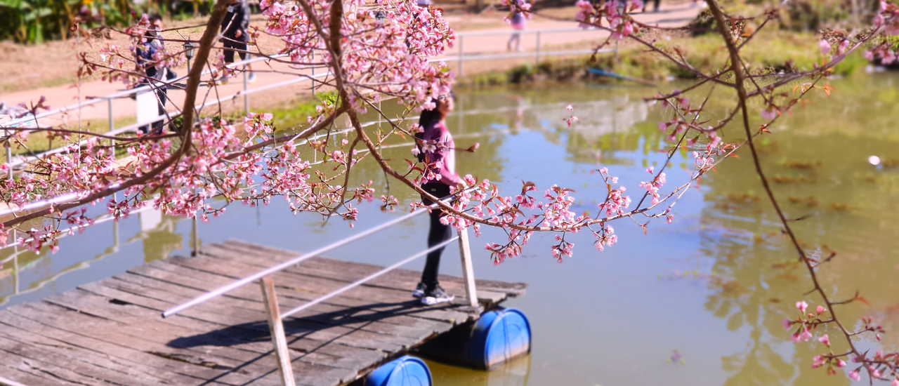 cover รวม 3 จุด เช๊คอินหน้าหนาวในฤดูกาลล่านางพญา โรแมนติกมากมาย