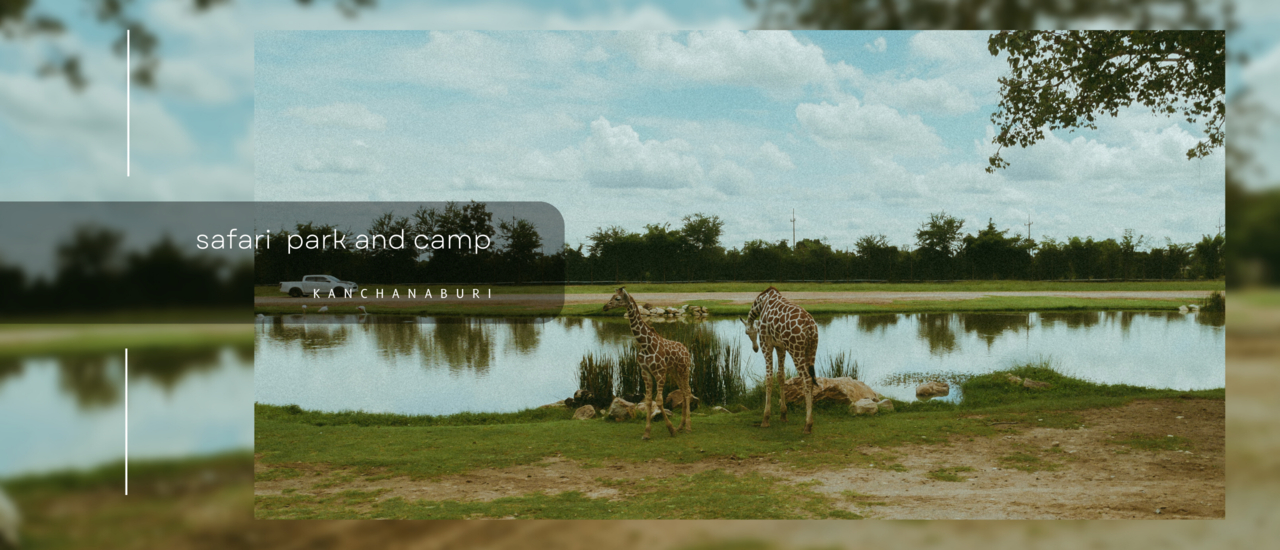 cover เที่ยวสวนสัตว์ safari park กาญจนบุรี สนุกอย่างที่คิดมั้ย