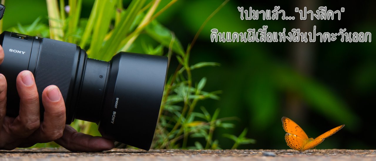 cover ไปมาแล้ว..."ปางสีดา”ดินแดนผีเสื้อแห่งผืนป่าตะวันออก