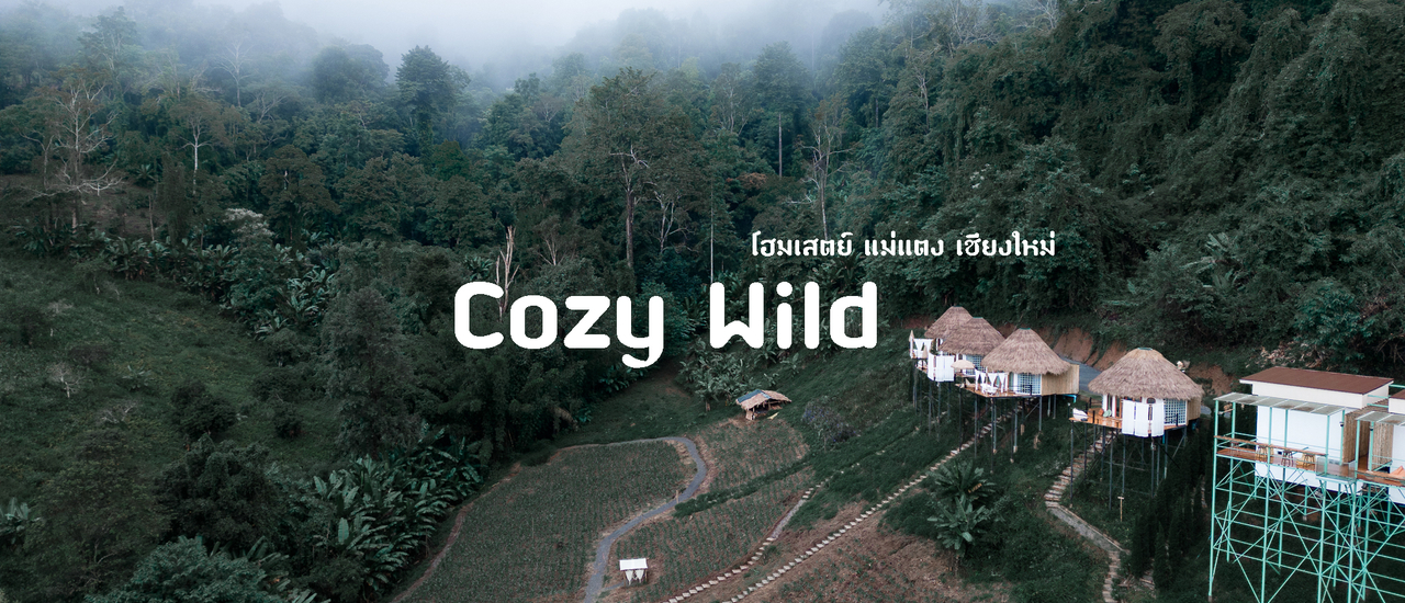 cover Cozy Wild โฮมสเตย์เปิดใหม่ ใจกลางหุบเขา