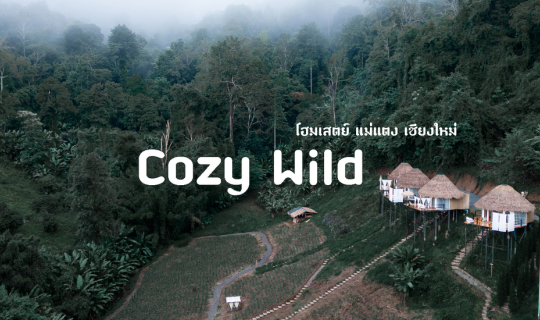 Cover Cozy Wild โฮมสเตย์เปิดใหม่ ใจกลางหุบเขา...