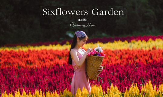 Cover 𝐒𝐢𝐱𝐟𝐥𝐨𝐰𝐞𝐫𝐬 𝐆𝐚𝐫𝐝𝐞𝐧 เส้นทางไปม่อนแจ่ม...