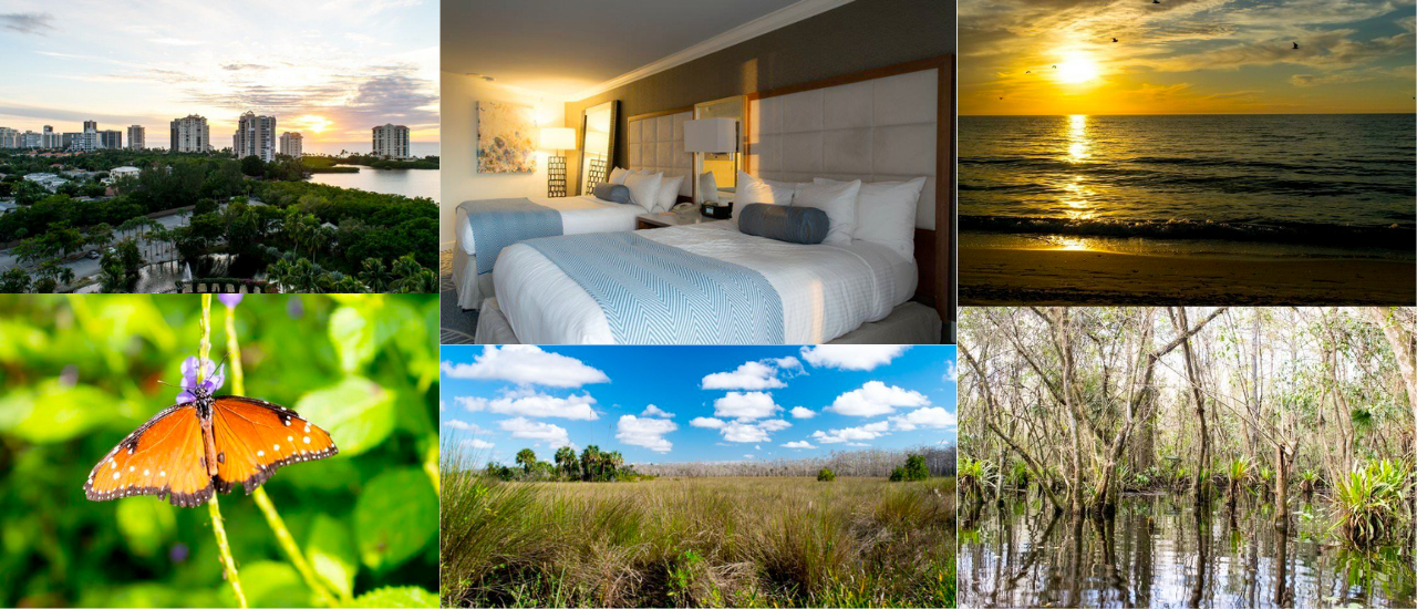 cover Exploring Paradise Coast, Florida – Naples & The Everglades @visitflorida