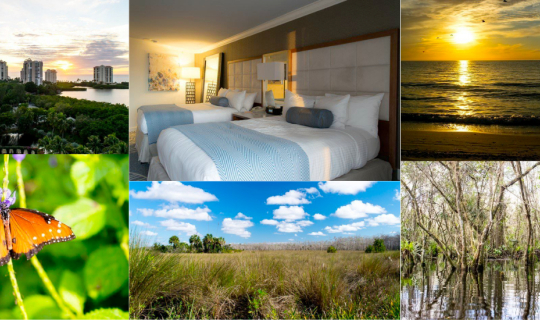 cover Exploring Paradise Coast, Florida – Naples & The Everglades @visitflorida