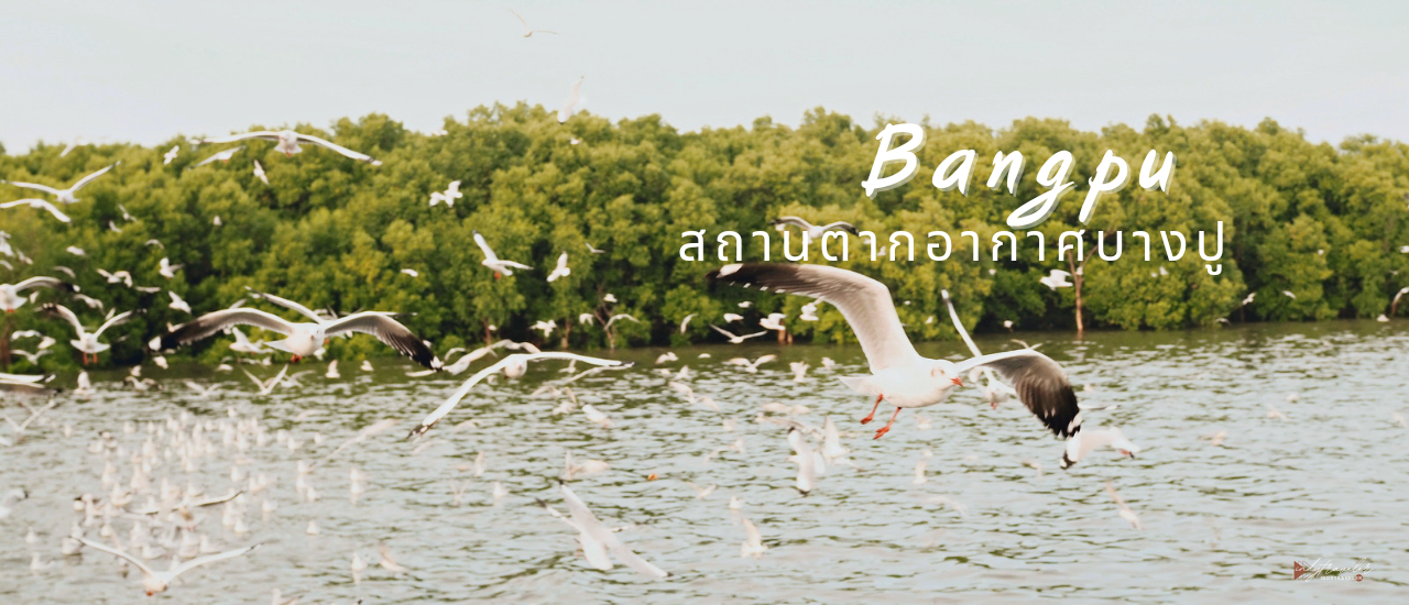 cover ชวนไปดูนก...Bangpu สถานตากอากาศบางปู