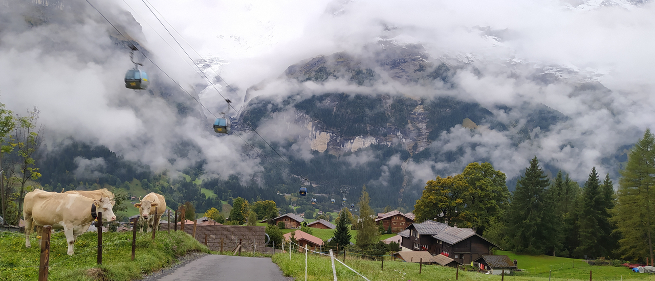 cover ทริปหลงเดี่ยว 22 วัน@ยุโรป ตอนที่ 8 Hiking from Grindelwald to First จากกรินเดลวัลด์สู่ภูเขาเฟิร์ส ขึ้นกระเช้าทำไย เดินขึ้นกันดีกว่า และ First cliff walk ในม่านหมอก