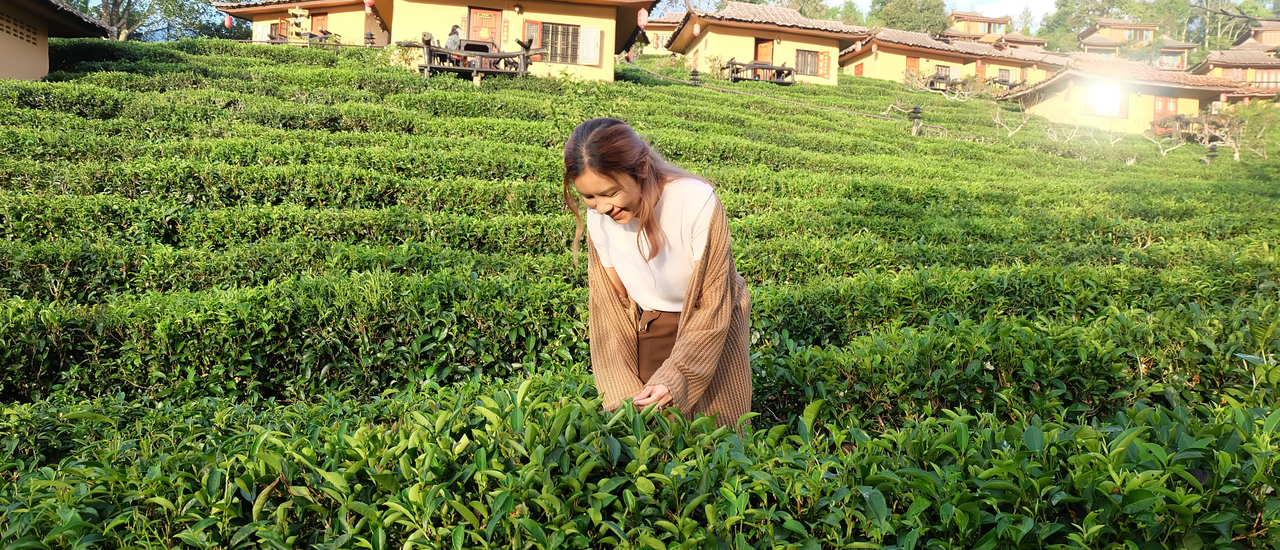 cover เที่ยวแม่ฮ่องสอน ปางอุ๋ง บ้านรักไทย ปลายฝนต้นหนาว