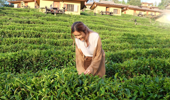 Cover เที่ยวแม่ฮ่องสอน ปางอุ๋ง บ้านรักไทย ปลายฝนต้นหนาว...
