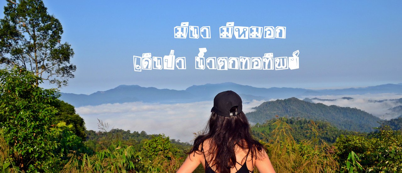 cover มีนา มีหมอก  เดินป่า น้ำตกทอทิพย์