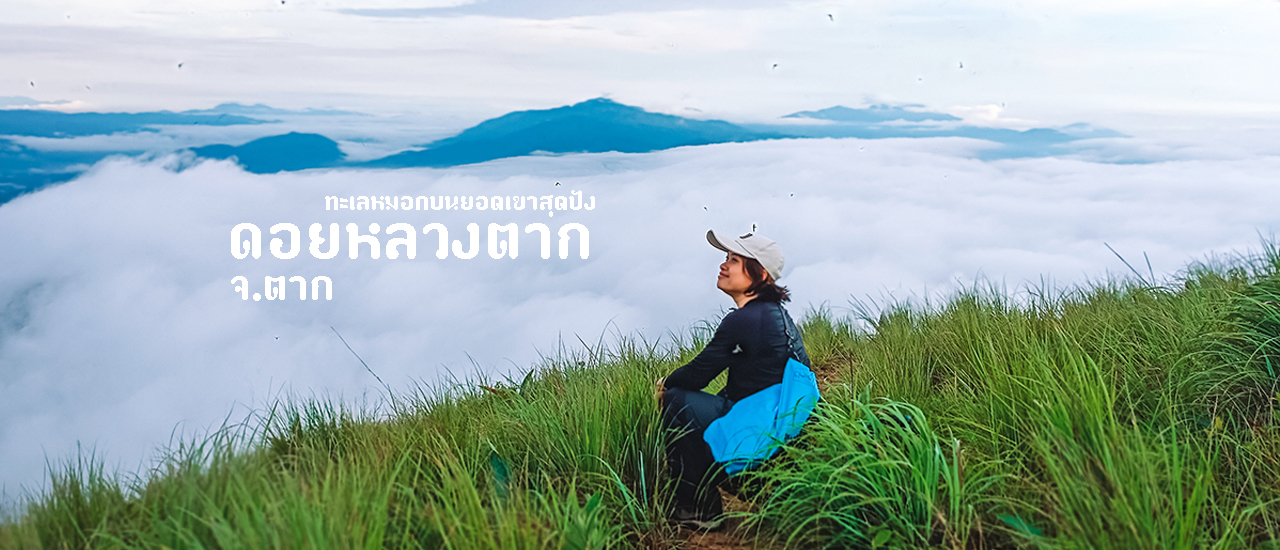 cover ทะเลหมอกสุดฟินบนยอด "ดอยหลวงตาก"