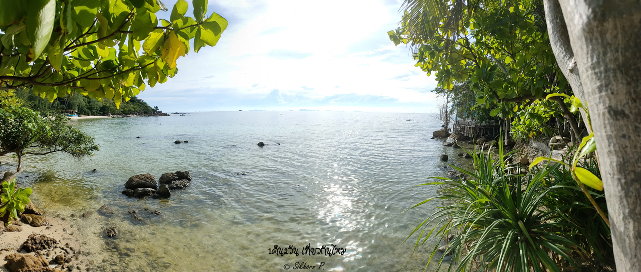 cover ดำน้ำที่sailrock หินใบ เกาะพะงัน พักหาดสนรีสอร์ท ดำน้ำอีกทีที่เกาะราฮัม