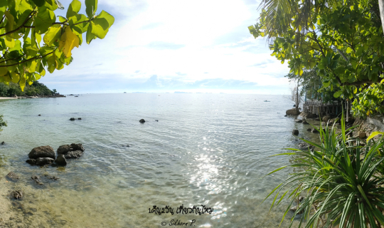 Cover ดำน้ำที่sailrock หินใบ เกาะพะงัน พักหาดสนรีสอร์ท ดำน้ำอีกทีที่เกาะรา...