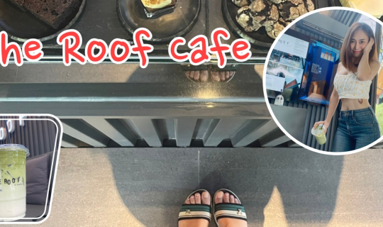 cover นุ๊กนิก พาเที่ยว (Nooknik Travel) : The Roof by Sangthai