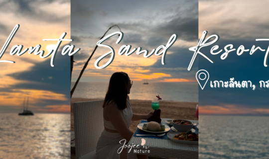 Cover Honeymoon Trip Ep.2 รีวิว: Lanta Sand Resort and Spa ทาน Romantic Di...