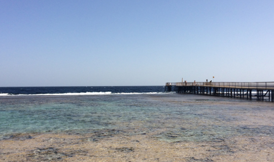 cover อียิปต์ ความลับริมขอบฟ้า ในวันที่เทพเจ้าลาจาก ตอนที่ 25 ทะเลแดงในช่วงเวลาแห่งอารมณ์ (2)