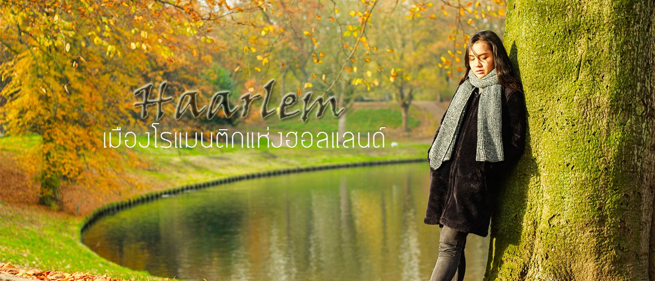 cover Haarlem, a Romantic Town of the Netherlands