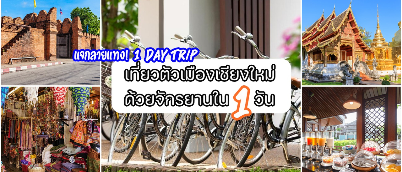 cover แจกลายแทง! 1 Day Trip เที่ยวตัวเมืองเชียงใหม่ด้วยจักรยานใน 1 วัน