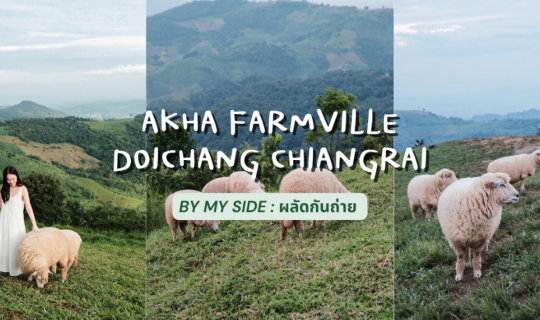 cover Akha Farmville | ดอยช้าง จ.เชียงราย