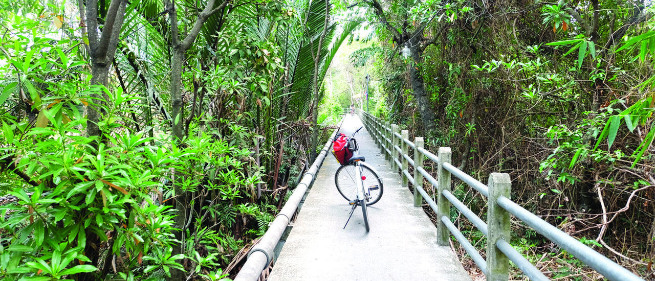 cover Riding, Eating, Traveling on a Green Road in Bangkok. Paying only 200 Baht but What You See is Worth for 2 Millions Baht !!! ( Including bicycle rental, meal and boat fee)