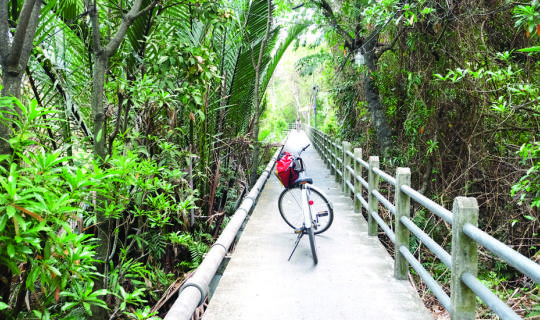 cover Riding, Eating, Traveling on a Green Road in Bangkok. Paying only 200 Baht but What You See is Worth for 2 Millions Baht !!! ( Including bicycle rental, meal and boat fee)