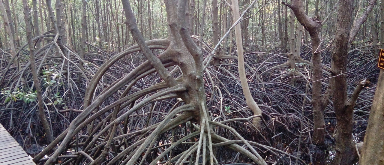 cover อุทยานแห่งชาติน้ำตกพลิ้ว จังหวัดจันทบุรี