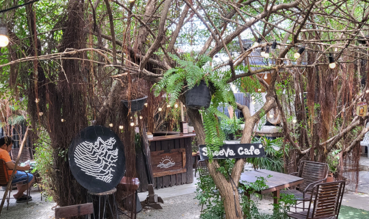 Cover Sheeva Cafe Pattaya ร้านกาแฟที่ยกให้เป็นอันดับ 1 ร้านกาแฟที่อร่อยที่...