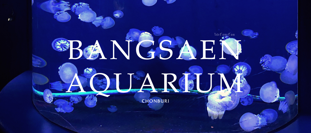 cover Bangsaen Aquarium - Chonburi
