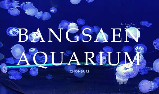 cover Bangsaen Aquarium - Chonburi