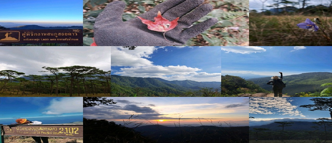 cover ปีนภูดูหมอก ณ ภูสอยดาว จังหวัดอุตรดิตถ์ 3 วัน 2 คืน