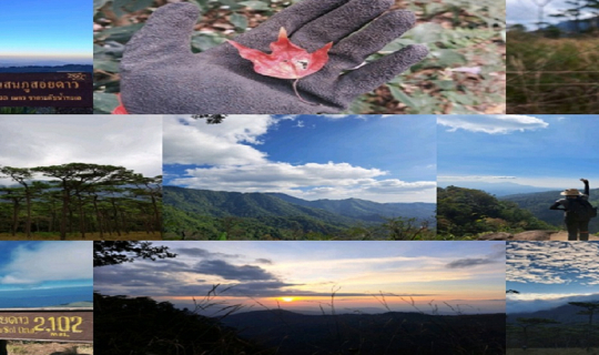 cover ปีนภูดูหมอก ณ ภูสอยดาว จังหวัดอุตรดิตถ์ 3 วัน 2 คืน