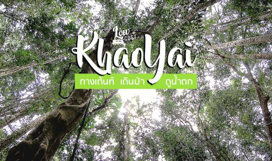 cover กางเต้นท์ เดินป่า ทริปหนีเมืองปะจระเข้!! | LowCost Thailand