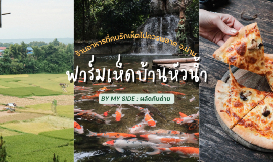 cover ฟาร์มเห็ดบ้านหัวน้ำ | ร้านอาหารที่คนรักเห็ดไม่ควรพลาด