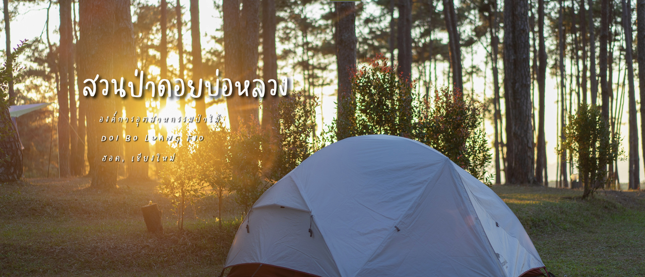 cover เที่ยวเชียงใหม่ - แม่ฮ่องสอนเป็นวงกลม 5 วัน 4 คืน Ep. 1/4 | สวนป่าดอยบ่อหลวง เชียงใหม่