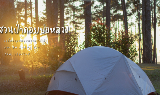 cover เที่ยวเชียงใหม่ - แม่ฮ่องสอนเป็นวงกลม 5 วัน 4 คืน Ep. 1/4 | สวนป่าดอยบ่อหลวง เชียงใหม่