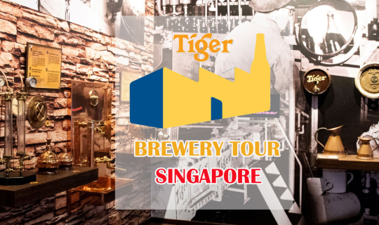 cover Tiger Beer Factory Tour