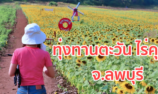 cover นุ๊กนิก พาเที่ยว (Nooknik Travel) : ทุ่งทานตะวัน ไร่คุณปู่