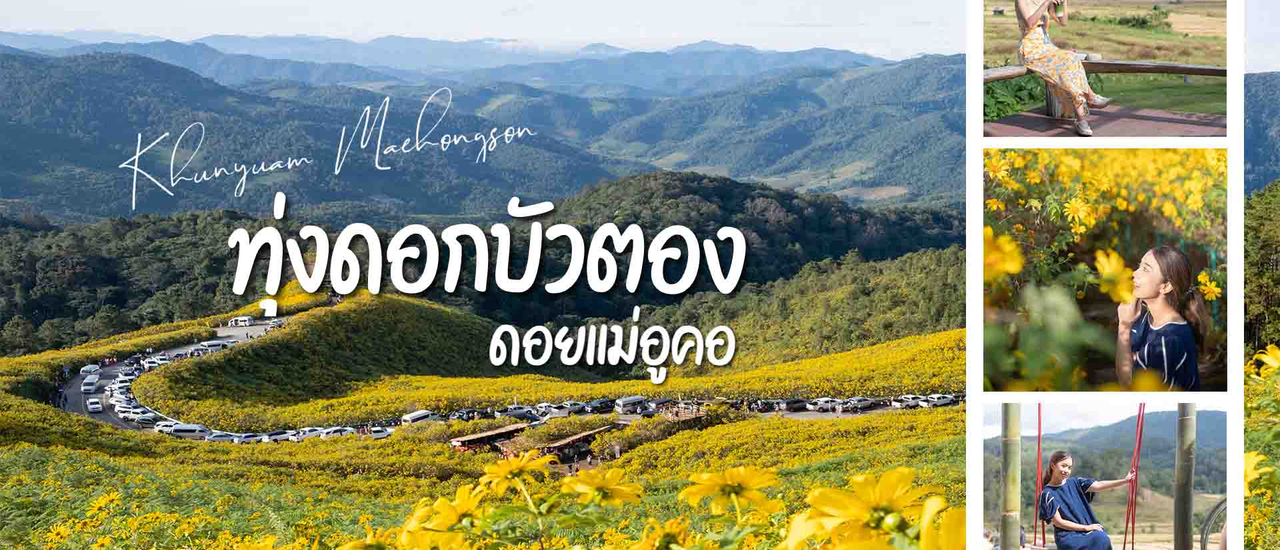 cover ทุ่งดอกบัวตอง ดอยแม่อูคอ แม่ฮ่องสอน บานสะพรั่งรับลมหนาว นอนบ้านบนดอย ชิมกาแฟเด็กน้อย ตะลุย 1864โค้ง