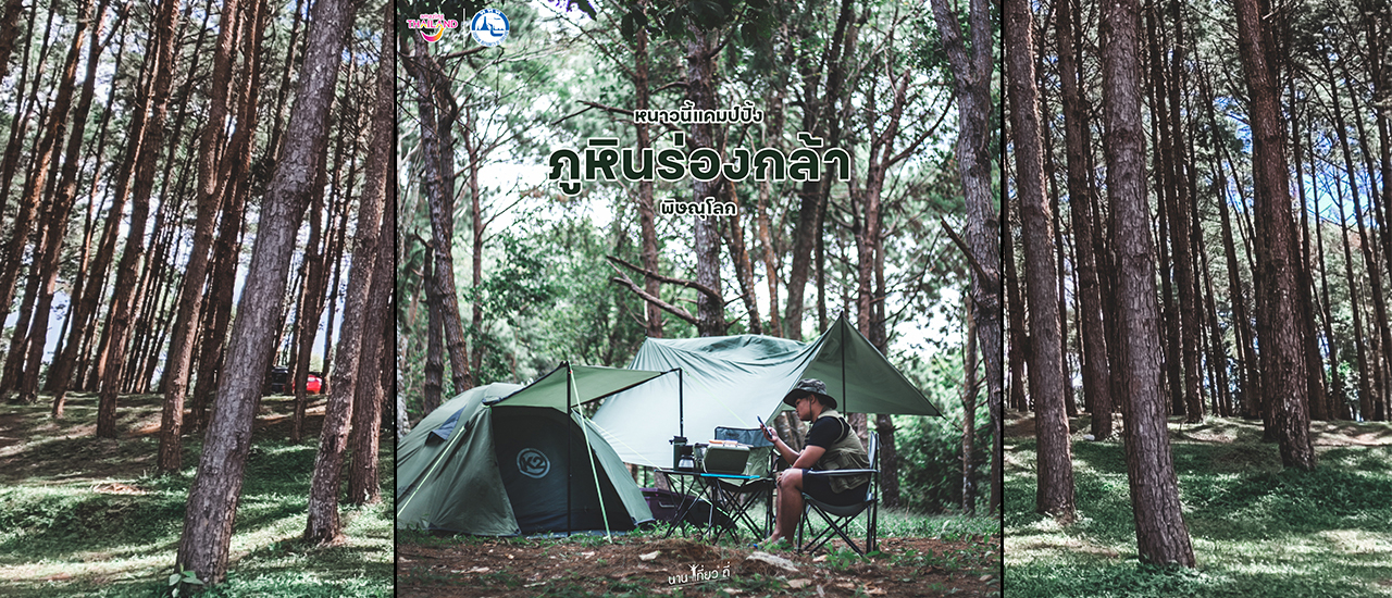 cover ภูหินร่องกล้า ลานแคมป์บรรยากาศดีซู้ดดดดด. สำหรับชาวแคมป์