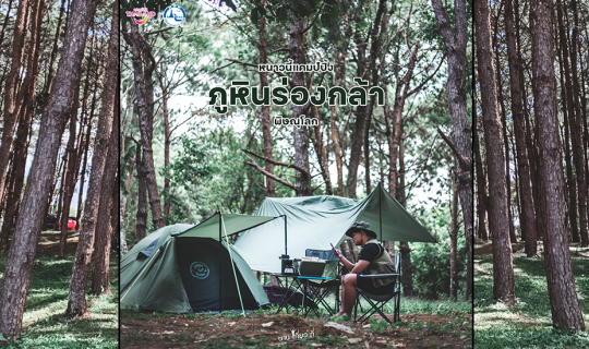 Cover ภูหินร่องกล้า ลานแคมป์บรรยากาศดีซู้ดดดดด. สำหรับชาวแคมป์...