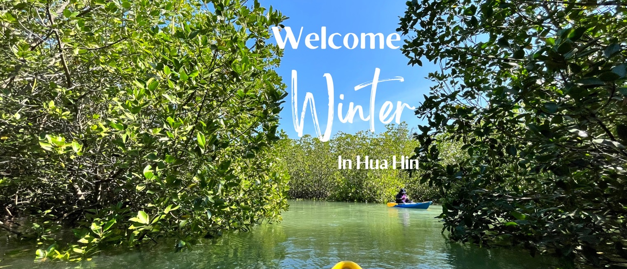 cover พักผ่อนในหัวหิน แล้วไปผจญภัยในป่าโกงกาง